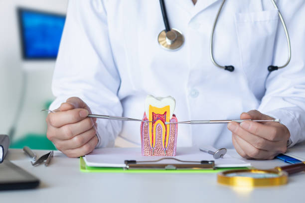 Best Emergency Dental Care for Broken or Chipped Teeth in Leon Valley, TX